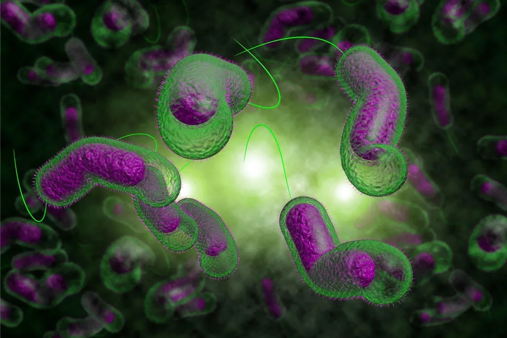 Mucus Molecules Could Prevent Cholera