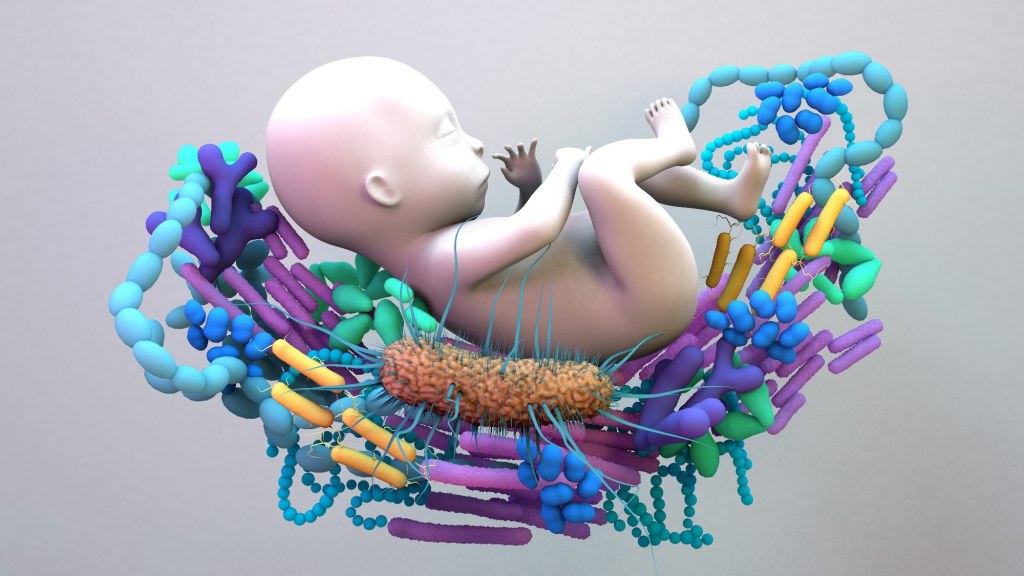 Factors shaping maternal gut microbiome during pregnancy and the impact on infant health